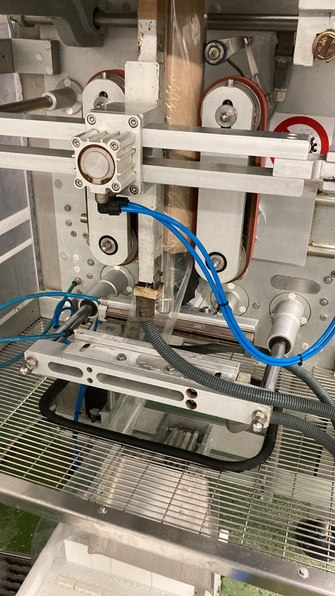 ILAPAK SAUCE BAGGING LINE with APPLE DEPOSITOR - Image 3