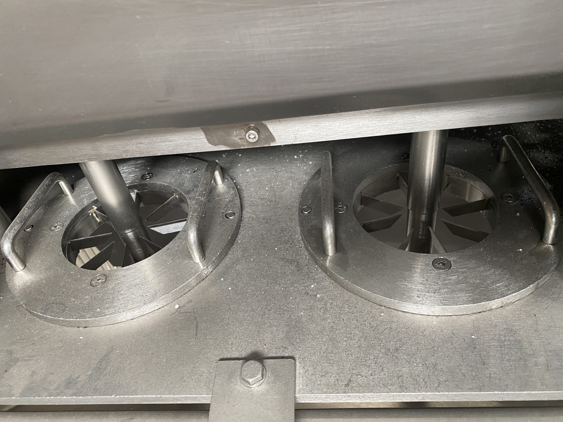 Large Fruiter Core and Segmenting - Image 2