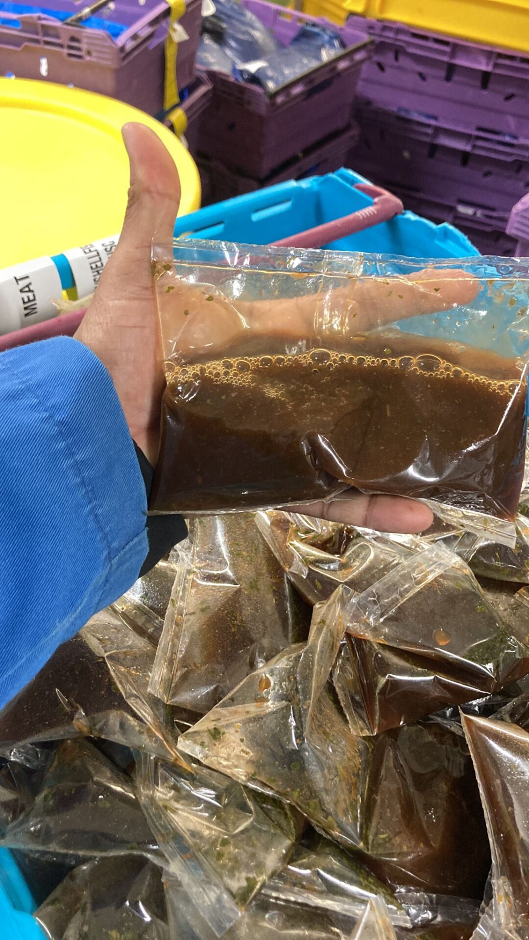 ILAPAK SAUCE BAGGING LINE with APPLE DEPOSITOR - Image 8