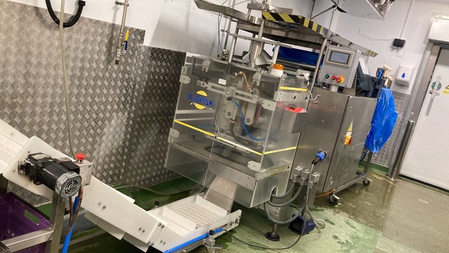 ILAPAK SAUCE BAGGING LINE with APPLE DEPOSITOR